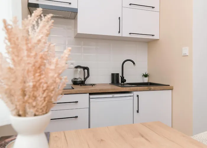 ゲストハウス Goscinne Majk